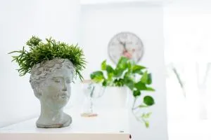 A casa di Lucio - Tabellini