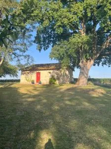 La Suite de Château Lardier - Listrac-de-Durèze