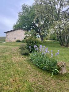 Maisons de vacances La Suite de Chateau Lardier : photos des chambres