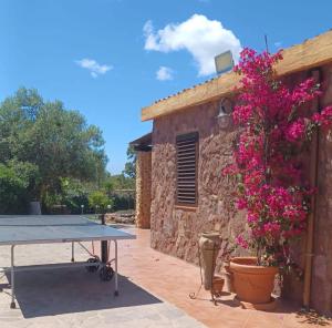 Alghero - Grotte di Nettuno cortes