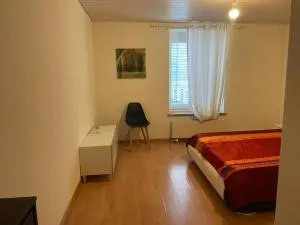 Gemütlich und Zentral - Zürich