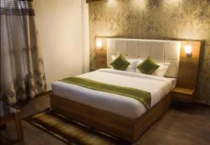 Hotel The Golden Paradise - Jutogh