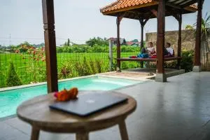 Rumah Tengah Sawah - Bringkit