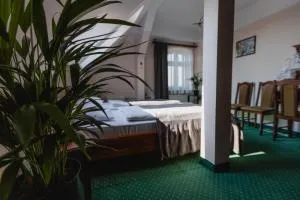 Hotel Aslan - Świerklaniec