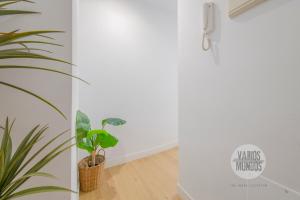 Descanso para 3 en Sol, ven a Concepción Jerónima