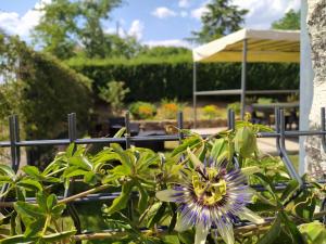 Maisons de vacances Charme Authentique en Berry, 11 Pers., Jardin et Wifi - FR-1-591-630 : Maison de Vacances