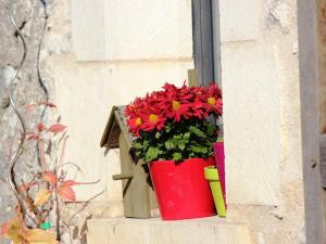 Grange éco-rénovée au cœur de la nature - FR-1-591-633