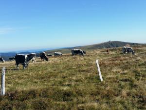 Appartement lumineux 3 chambres, terrasse, proche commerces et ski, avec WiFi - FR-1-589-677