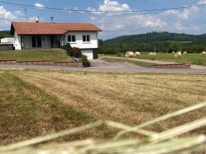 Maisons de vacances Maison spacieuse avec spa, animaux acceptes, pres d-Epinal - FR-1-589-680 : photos des chambres