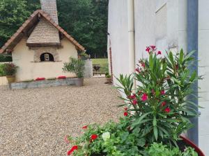 Détente au Moulin: Piscine, Jacuzzi, Animaux Bienvenus - FR-1-591-641