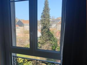 Appartements Appartement confortable 4 pers a Epinal avec parking privatif - FR-1-589-682 : Appartement