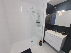 Appartement contemporain 3 chambres avec vue sur canal, parking et internet à Nancy - FR-1-584-343