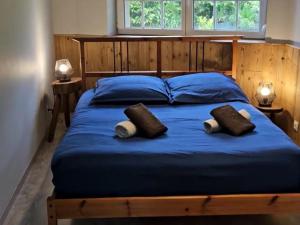 Maisons de vacances Chalet de charme pour 6 pers., proche ski, WiFi, parking, animaux admis - FR-1-589-683 : photos des chambres