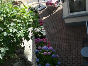 Appartements Gite Vosges avec Terrasse, Parking, et WIFI - FR-1-589-690 : photos des chambres