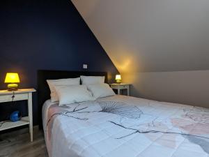 Maisons de vacances Maison spacieuse et contemporaine avec parking, velos et baby-foot en Berry - FR-1-591-649 : photos des chambres