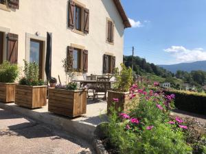 Appartements Maison renovee pres des Hautes Vosges, ideale pour activites nature - FR-1-589-696 : photos des chambres
