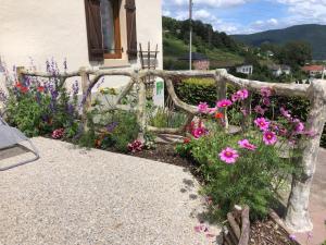 Appartements Maison renovee pres des Hautes Vosges, ideale pour activites nature - FR-1-589-696 : photos des chambres