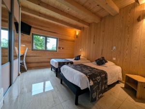 Maisons de vacances Villa spacieuse avec spa et billard, WiFi, parking prive - FR-1-589-698 : photos des chambres