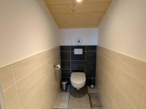 Maisons de vacances Villa spacieuse avec spa et billard, WiFi, parking prive - FR-1-589-698 : photos des chambres