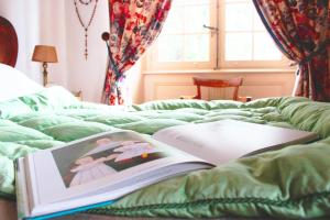 B&B / Chambres d'hotes Chateau de Durianne : photos des chambres