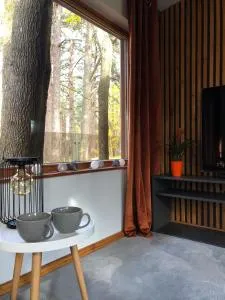 Small resort Pini & SPA - Jūrmala