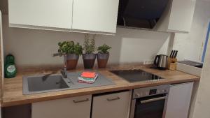 Ferienwohnungen Schallenberg - Groß-Umstadt- Fewo Nr-5