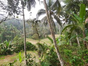 Cabin D Bendul and Warung