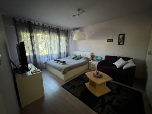 Малък уютен апартамент