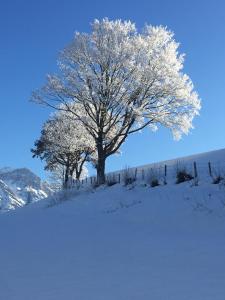 Appartement am Mühlrain