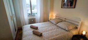 Le Béranger T2 centre wifi balcon