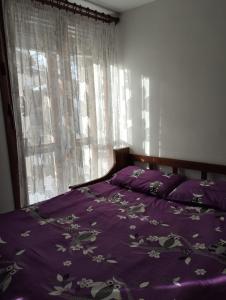 Aleksander ski apartment