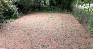 Dargle Camping & Caravan Site