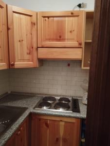 Aleksander ski apartment