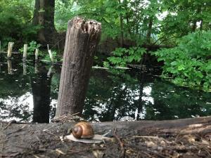 Romantische Ferienwohnung im Herrenhaus Wüstenhain Spreewald