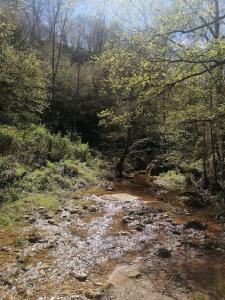 Bonica Caseta de fusta