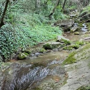 Bonica Caseta de fusta