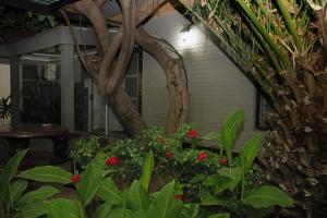 Gold Guest & Conference