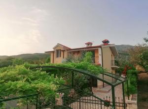 House of Green Experience