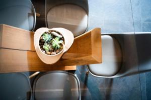 Aosta Holiday Apartments - Gressan