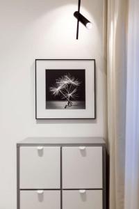 Stylish 2BDR free parking Paupys