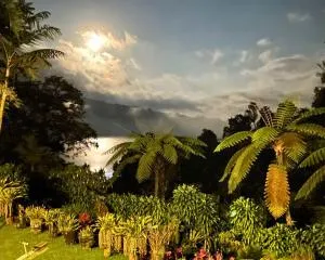 Warung Rekreasi Bedugul - Plaga