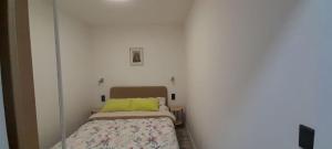 Apartment T & P 