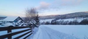 DOMEK NIEBIESKI W BESKIDZIE MAŁYM