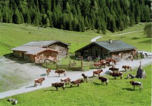 Palfnerhof Appartements