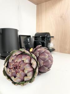 Appart'hotels JIJI Suites : photos des chambres
