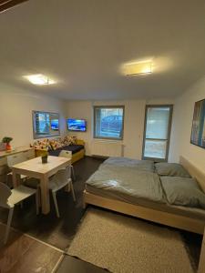 Apartman Harrachov - Resident