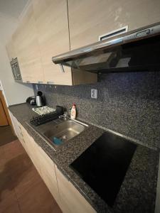 Apartman Harrachov - Resident