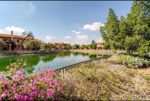 NATURALapartmentLARGE pool