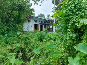 Villa BoraG - Hapugala