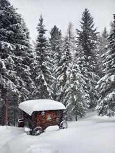 Ferienwohnung Zirbenzapfen - Auszeit in den Seetaler Alpen